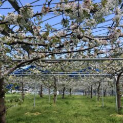 2023年を振り返る